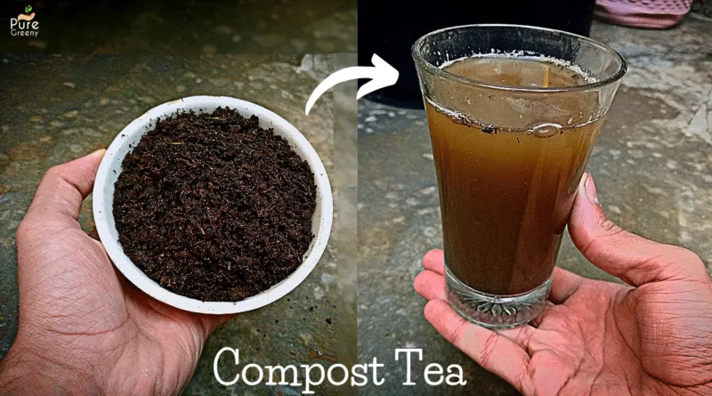 compost-tea-liquid-fertilizer