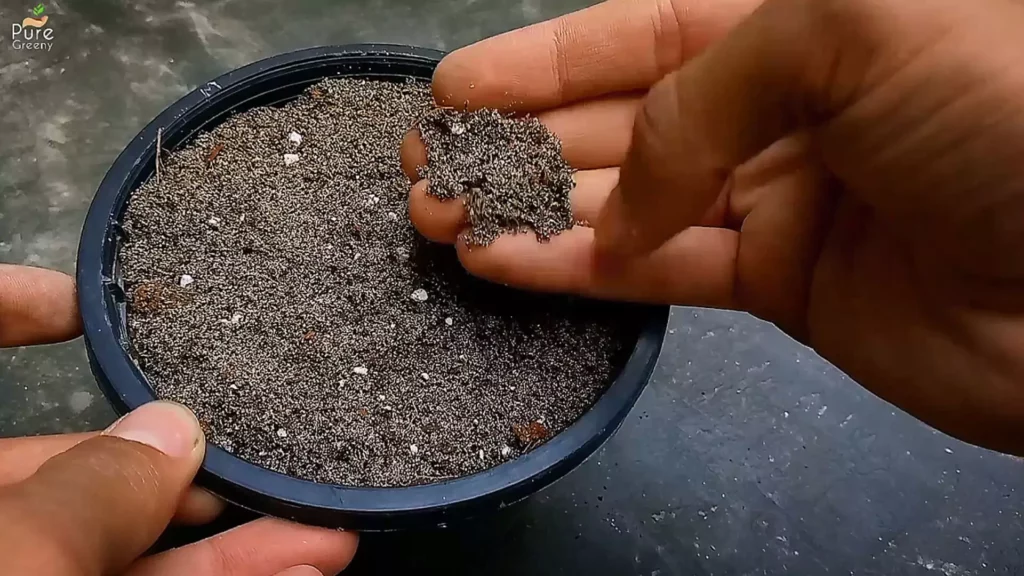 Soil-Mix-For-Propagation