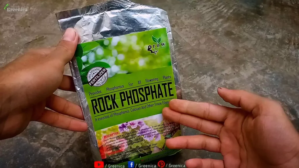 Rock Phosphate Pack