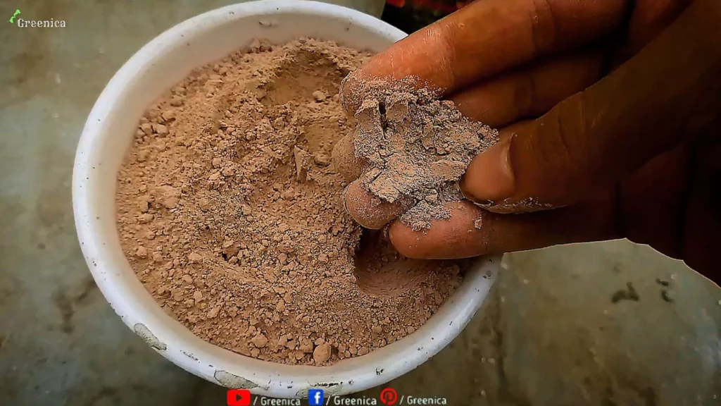 Rock Phosphate Powder In Hand