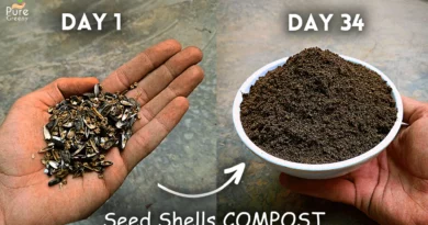 How-To-Make Compost-Step-By-Step-With-Pictures