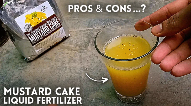 Mustard-Cake-Liquid-Fertilizer