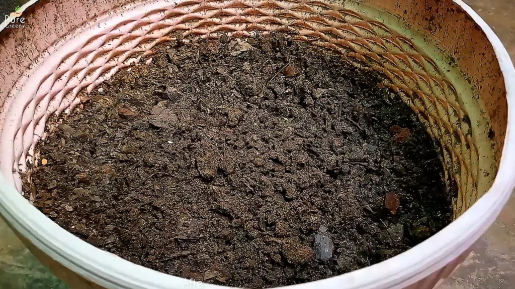 After 114 Days of Composting
