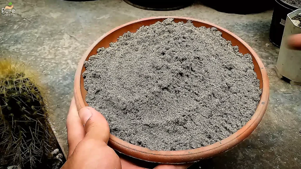 Sand in A Bowl