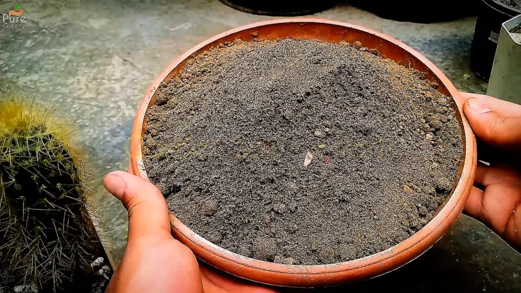 Soil In a Bowl