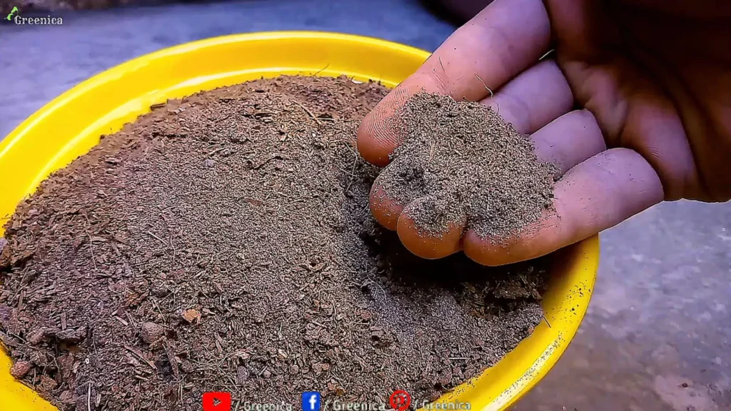 Soil Mix For Plants