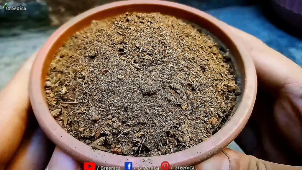 Potting Soil Mix For Plants