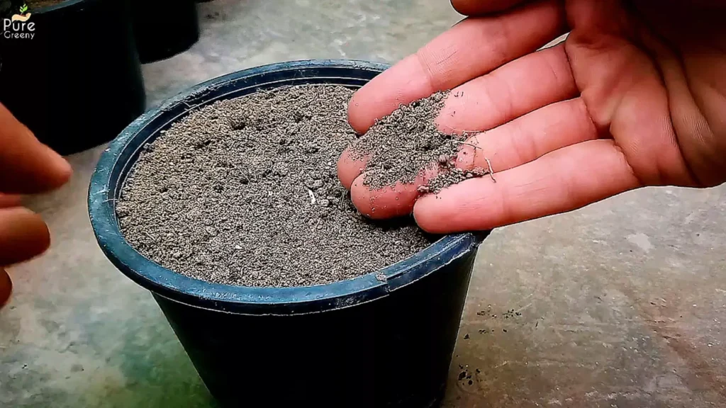 Seed Starter Soil