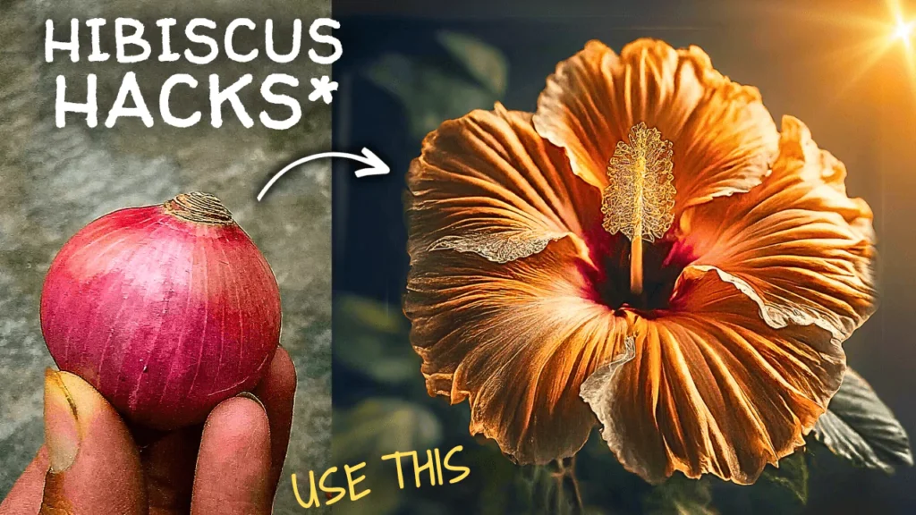 How To Grow Hibiscus Plant FAST? (5 Growing Tips)