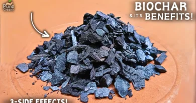 Benefits & Uses Of Biochar For Plants! (Use This WAY…)