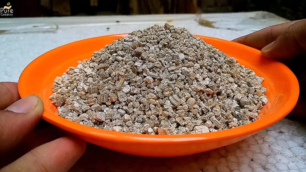 Vermiculite For Plants