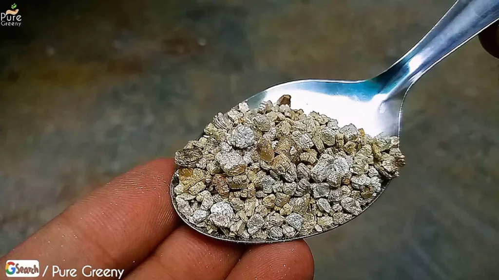 vermiculite In Spoon