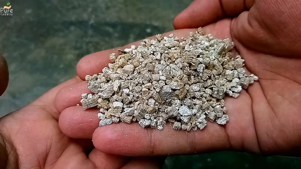 Vermiculite For Plants