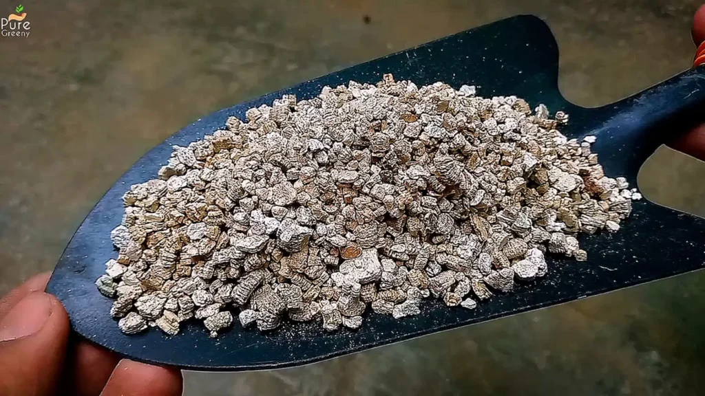 Vermiculite For Plants