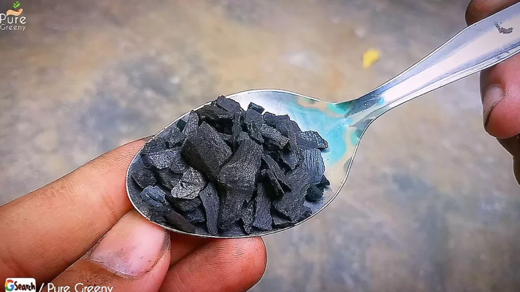 Biochar In Spoon