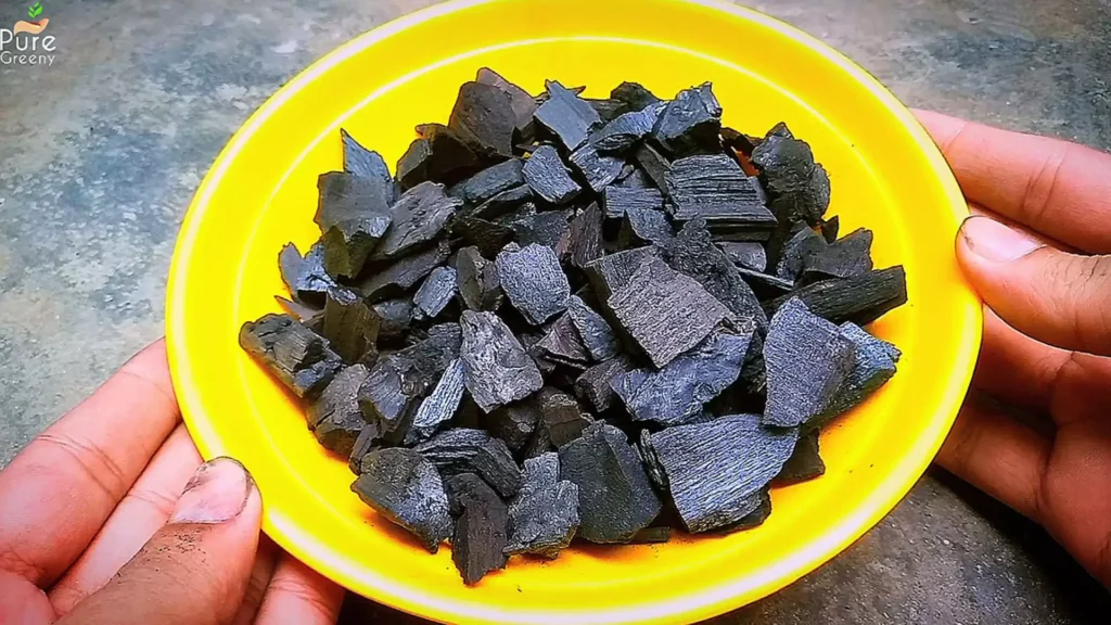 BioChar in a Bowl