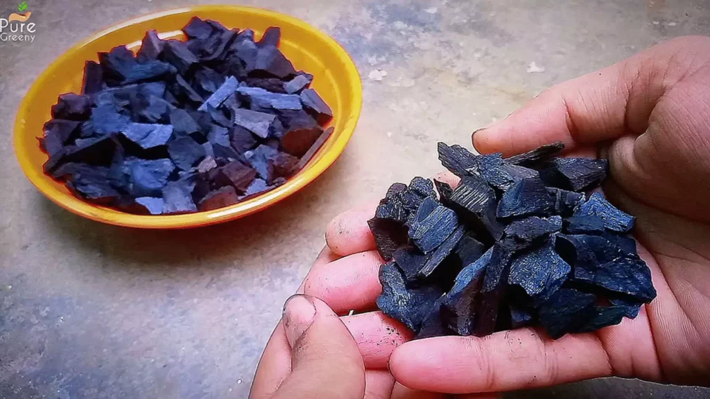 BioChar In Hand