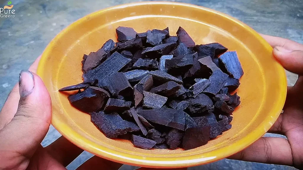 Biochar For Plants