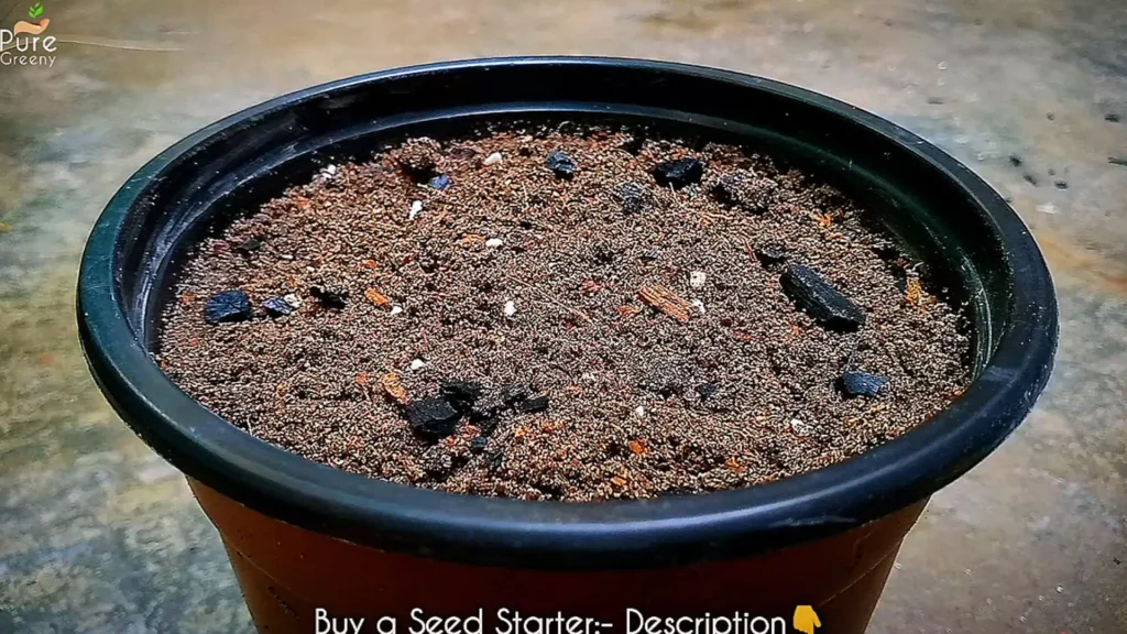 Using BioChar In Seed Starter Mix