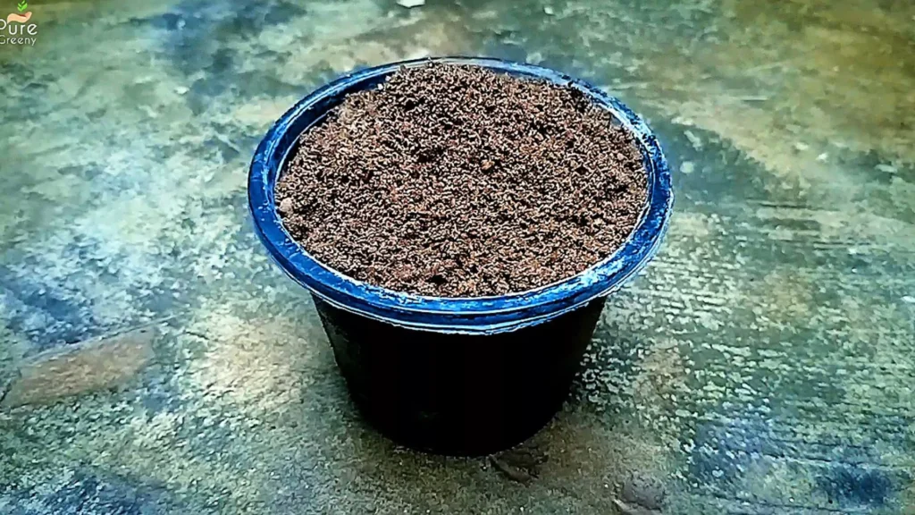 Potting Soil For Plants