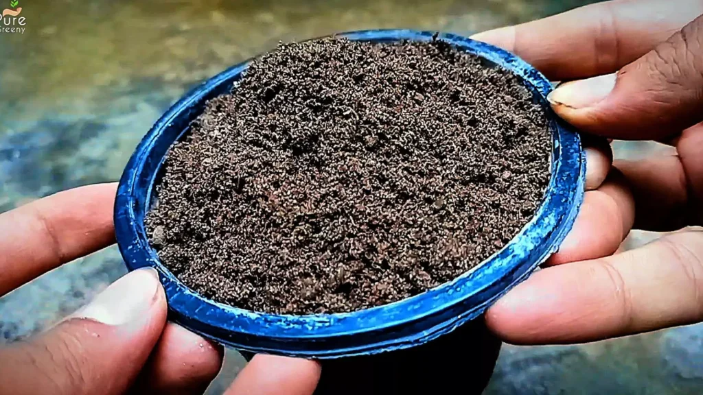 Homemade Potting Mix For Plants