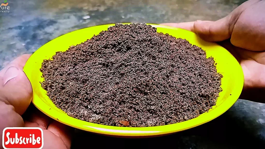 Potting Soil Recipe 