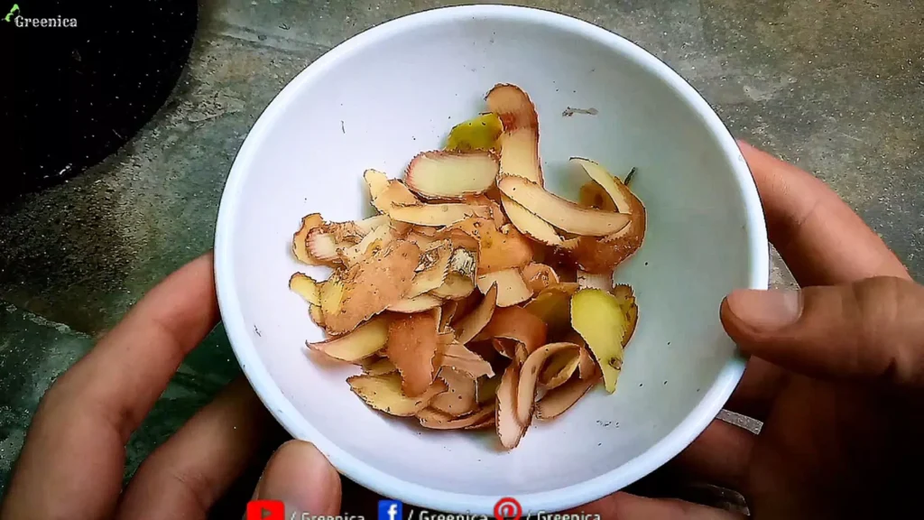 Potato Peels