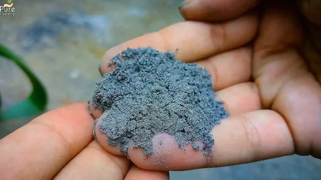 Wood ash in hand