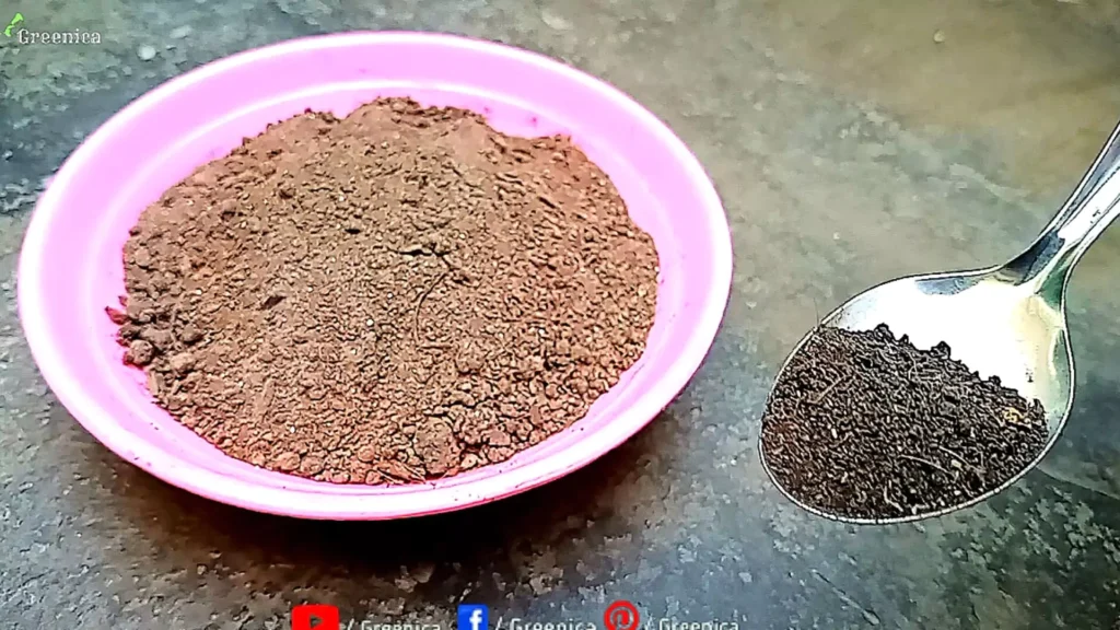 Blood Meal Adding In Soil