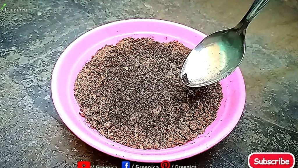 Blood Meal Adding In Soil