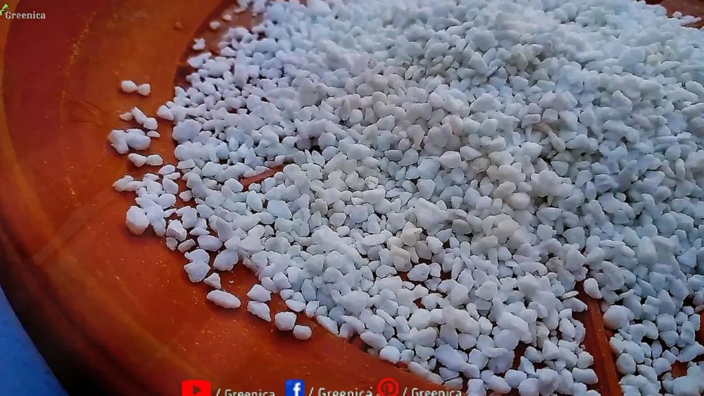 Perlite Uses For Plants