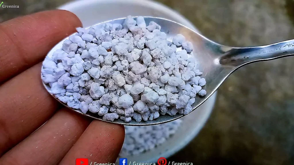 Perlite For Plants Uses