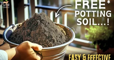 How To Make a FREE Potting Soil At Home? (Organic & Effective)