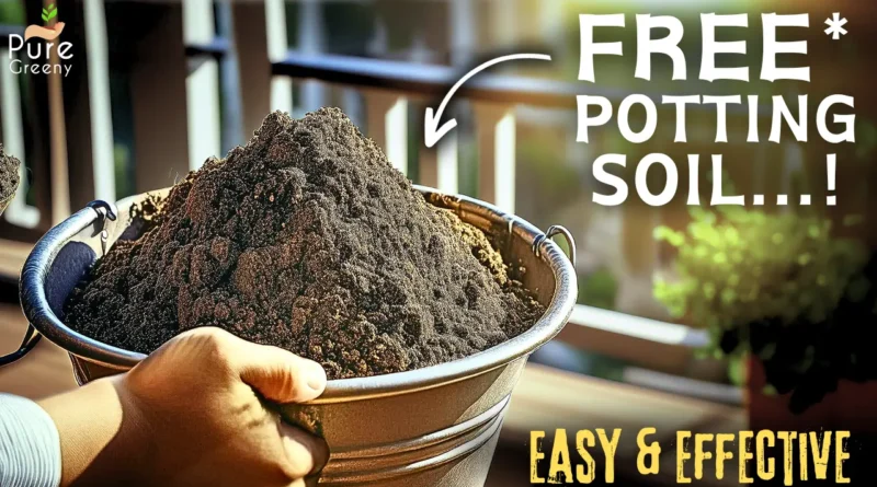 How To Make a FREE Potting Soil At Home? (Organic & Effective)