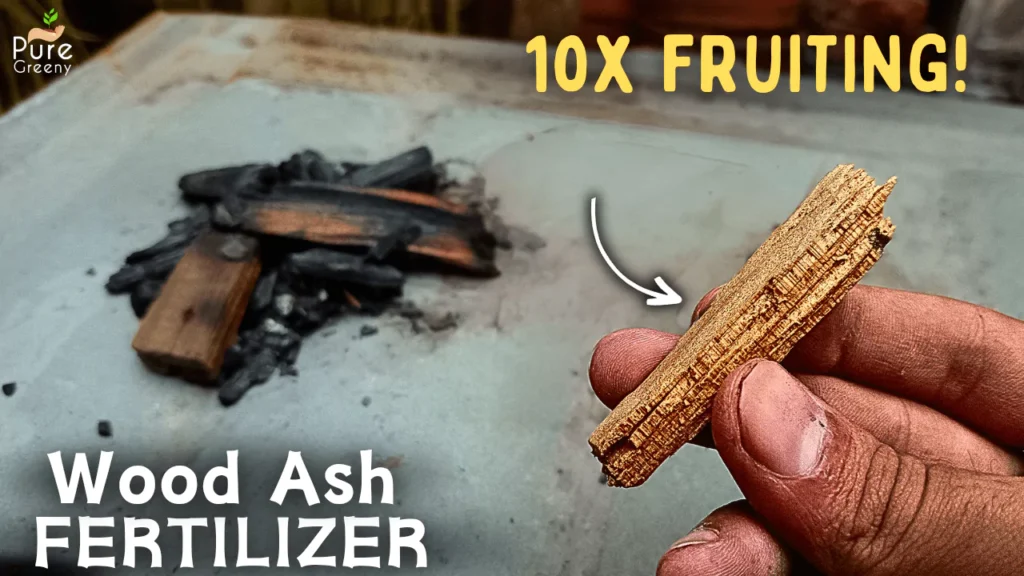 5 SECRET Wood Ash Benefits For Plants! (Use Wood Ash fertilizer This Way)