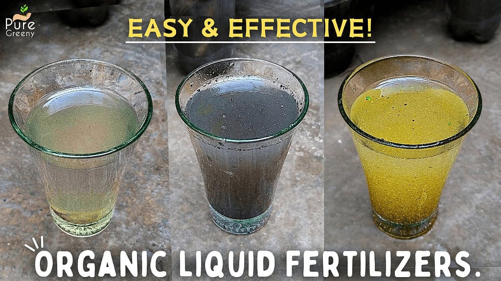 6 MOST Useful Organic Liquid Fertilizers, You Must Know About!