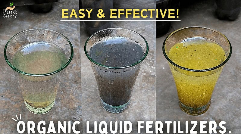 6 MOST Useful Organic Liquid Fertilizers, You Must Know About!