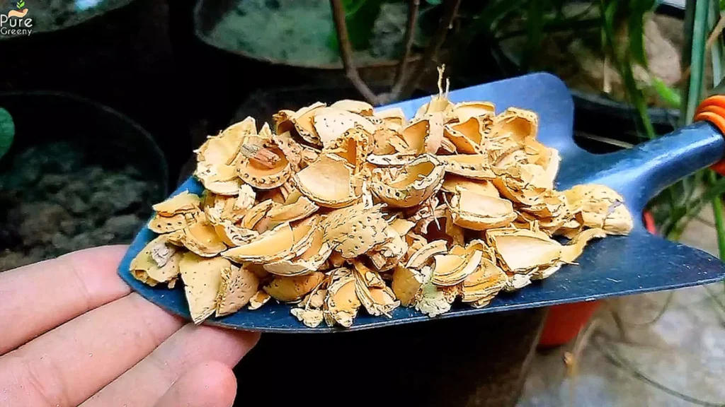 Nut Shells For Mulching Plants