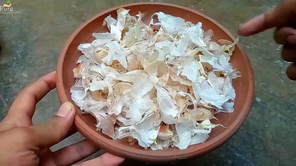 Garlic peels For mulching