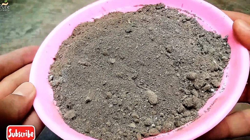 Using Gypsum Powder For Potting Soil Mix