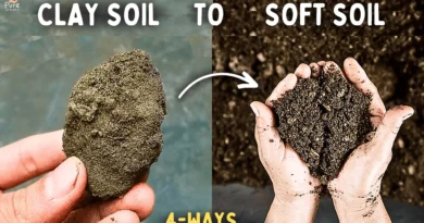 How To Turn Clay & Hard Soil into a Loose & Soft Soil Mix? (5 WAYS)