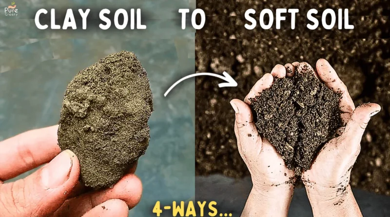 How To Turn Clay & Hard Soil into a Loose & Soft Soil Mix? (5 WAYS)