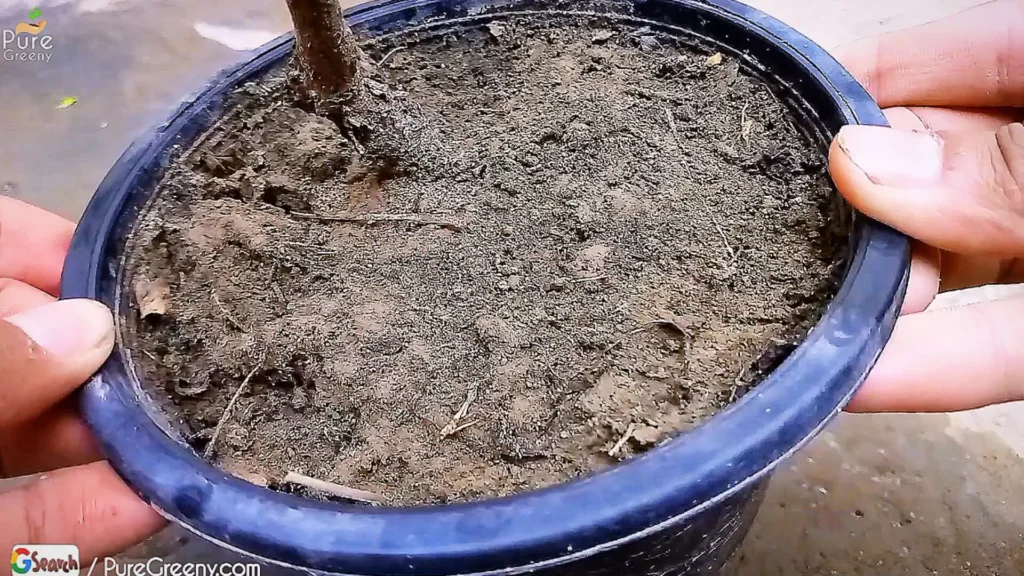 Hard Clay Soil Mix