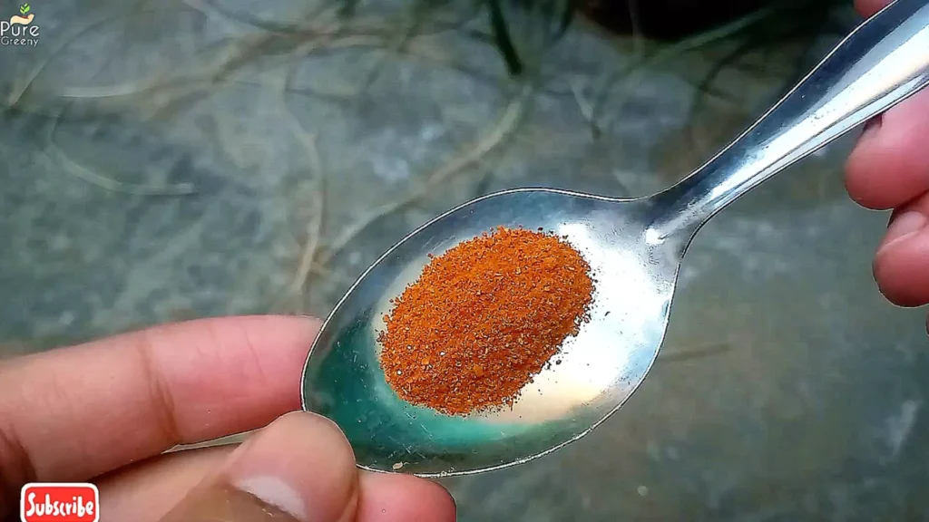 Chilli Powder in spoon