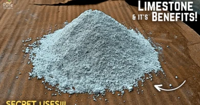 6 Benefits of LimeStone For Plants! - How To Use LimeStone Powder For Plants?