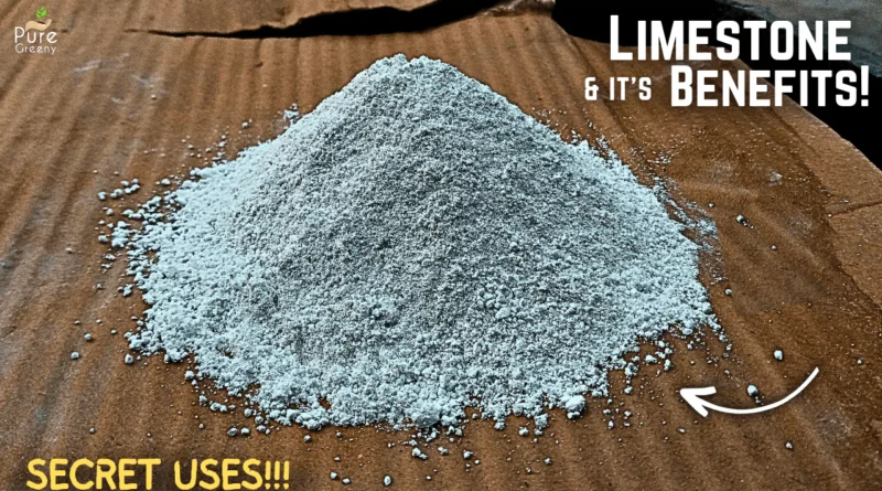 6 Benefits of LimeStone For Plants! - How To Use LimeStone Powder For Plants?