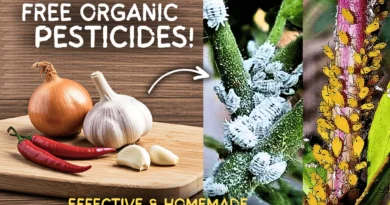 Kitchen Base Organic Pesticides, You Can Use To Remove Pests! (FREE & EFFECTIVE)