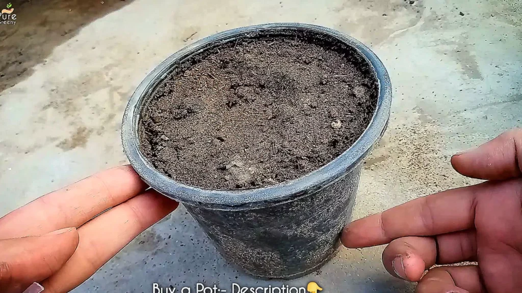 Pot Size pointing