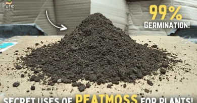 Miracles Of Peat Moss For Plants! (DO & DONT's)