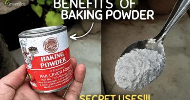 SECRET Uses of Baking Powder For Plants! (USE or NOT?)